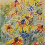 Wildflower Meadow: Rudbeckia & Cornflowers by Olena Lykhodid