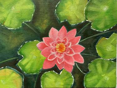 Pink water lily! Small oil painting thumb