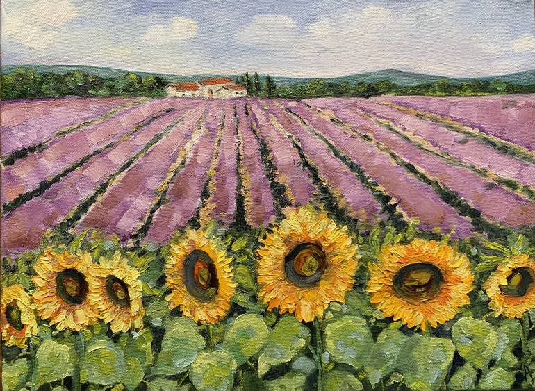 lavender field with sunflower