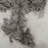 Banksia Branch Sotatsu by Boyd McMillan