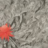 Red on Grey by Boyd McMillan