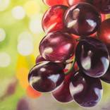 Grapes #4 by Israel Melero