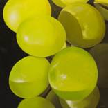 Grapes #8 by Israel Melero