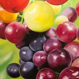 Grapes #11 by Israel Melero