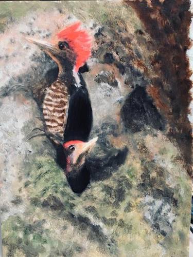 Helmetted Woodpeckers thumb