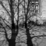 Afternoon by Andrii Bilonozhko