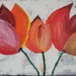 Tulips by Willy kammeijer
