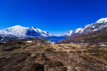 Norwegian fjord Europe # 58 thumb