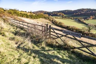 English countryside #10 thumb