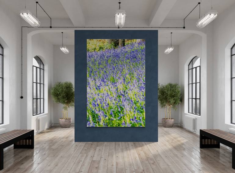 Original Photorealism Nature Photography by M Tchaikovsky