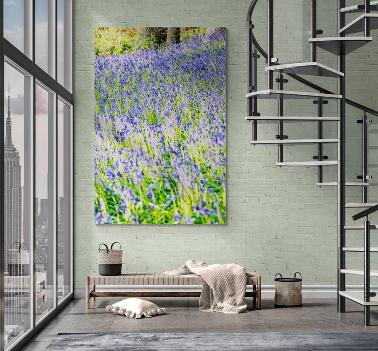 Original Photorealism Nature Photography by M Tchaikovsky