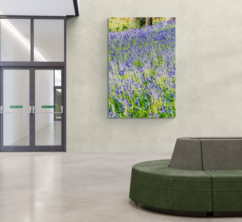 Original Photorealism Nature Photography by M Tchaikovsky
