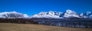 Norwegian Fjord Springtime Europe #28 thumb