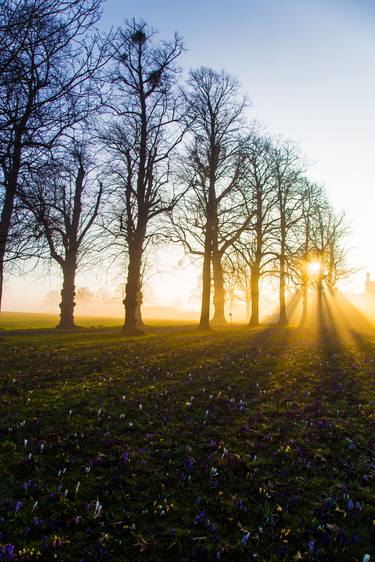 Sunrise early morning light England Europe thumb