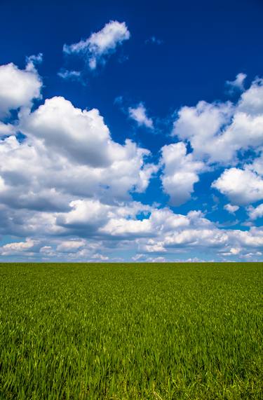 Print of Minimalism Landscape Photography by M Tchaikovsky