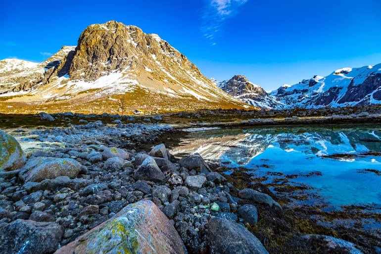 View in a Room Artwork