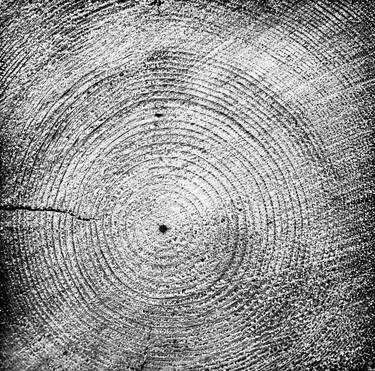 Wood monochrome photography collection # 1 thumb