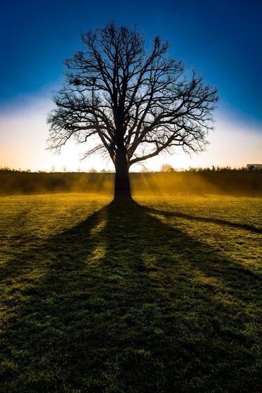 Print of Minimalism Nature Photography by M Tchaikovsky