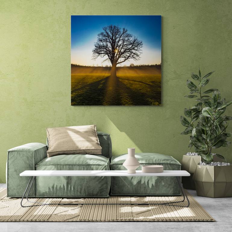 Original Modern Landscape Photography by M Tchaikovsky