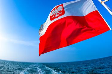 Polish national flag thumb