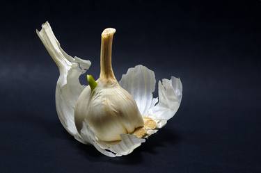 Sexy Garlic - Limited Edition 30 of 34 thumb