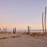 Dead Palms, 6:45 am by Matthew Portch