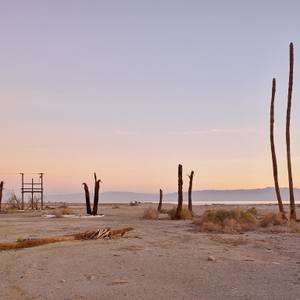Dead Palms, 6:45 am