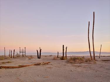 Dead Palms, 6:45 am thumb