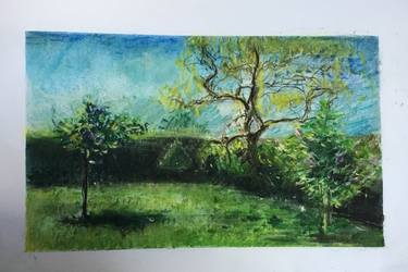 Original Garden Drawings by Jean Paton