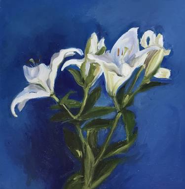 White Lily on Blue thumb