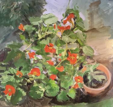 Original Floral Paintings by Jean Paton