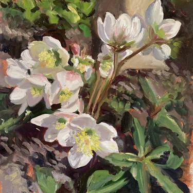 Original Floral Paintings by Jean Paton