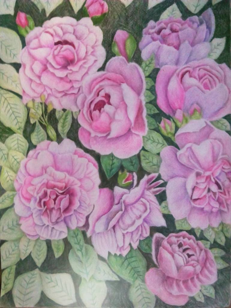 Rose Garden Drawing