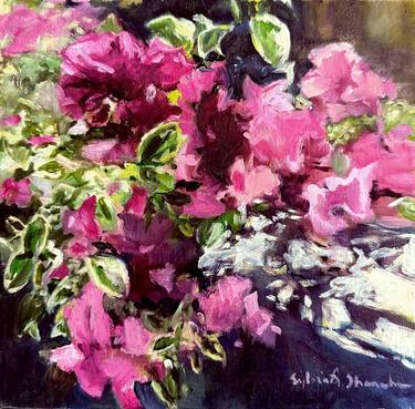 Original Impressionism Floral Paintings by Sylvia Shanahan