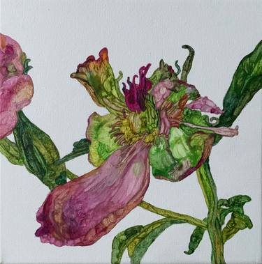 Original Contemporary Floral Painting by Anna Bulkina