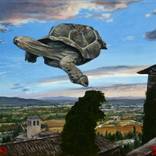 cloud turtle by Jeffrey Isaac