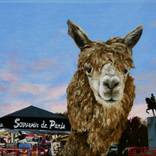 alpaca de Paris by Jeffrey Isaac