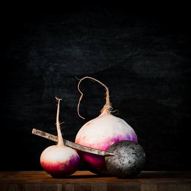 Original Photorealism Still Life Photography by Marlou Pulles
