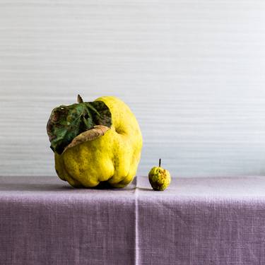 Original Figurative Still Life Photography by Marlou Pulles
