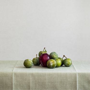 Original Fine Art Still Life Photography by Marlou Pulles