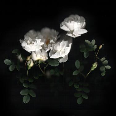 Original Fine Art Floral Photography by Eugen Backer