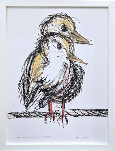 Original Fine Art Animal Printmaking by Robyn Dansie