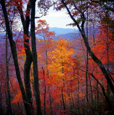 Original Realism Landscape Photography by Gerhardt Isringhaus