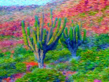 Saguaro I thumb