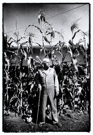 Giant Corn Man - Limited Edition of 10 thumb