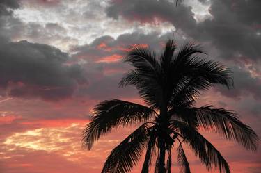 Fiery Sunrise Palm - Limited Edition of 10 thumb