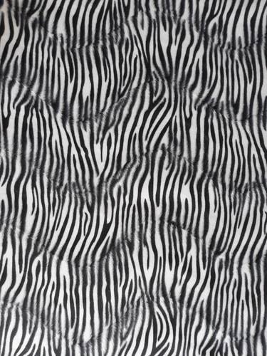 Zebra ilusion. thumb
