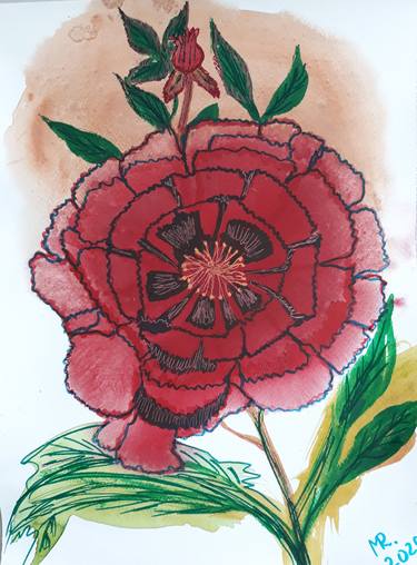 Original Fine Art Floral Drawings by MARIE RUDA