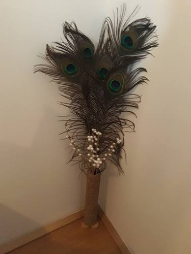 Peacock. thumb