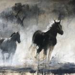 Collection Summer of Southern Travel: Spotlight on the American South